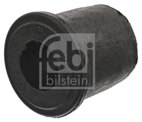Bushing, leaf spring